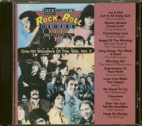 VARIOUS - ONE HIT WONDERS OF THE 60'S V2