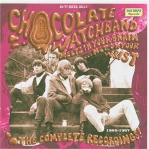 CHOCOLATE WATCH BAND - MELTS IN YOUR BRAIN...NOT ON YOUR WRIST!