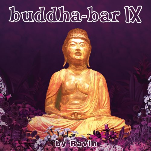 RAVIN (VARIOUS) - V9 BUDDHA-BAR