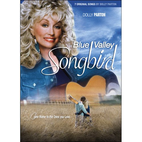 BLUE VALLEY SONGBIRD