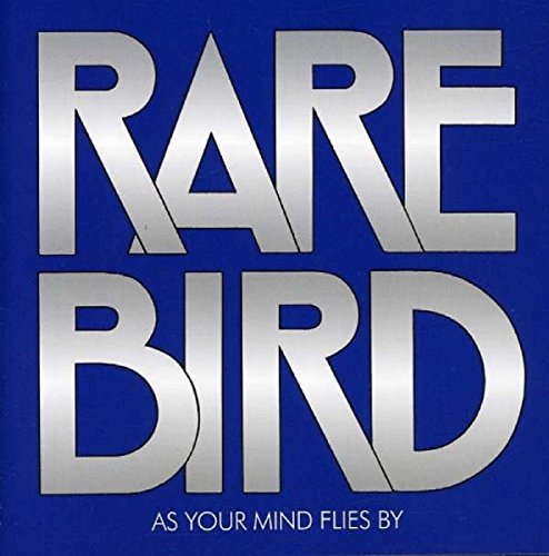 RARE BIRD - AS YOUR MIND FLIES BY