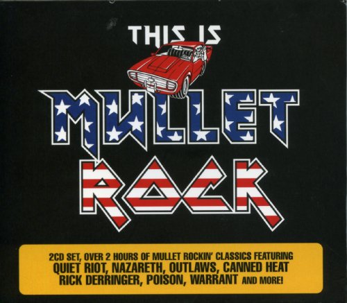 VARIOUS - VARIOUS - THIS IS MULLET ROCK