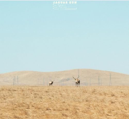 JAGUAR SUN - FOR YOU (VINYL)