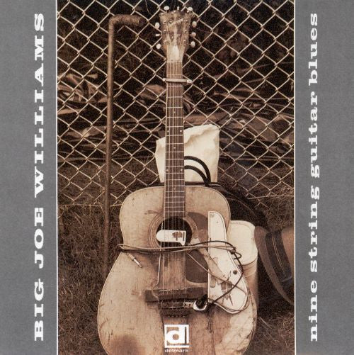 WILLIAMS, BIG JOE  - NINE STRING GUITAR BLUES