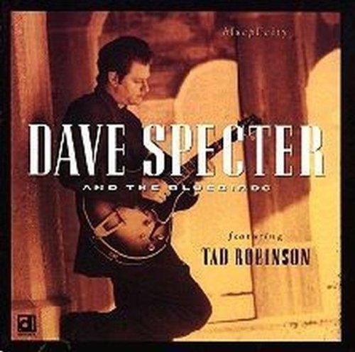 DAVE SPECTER - BLUEPLICITY