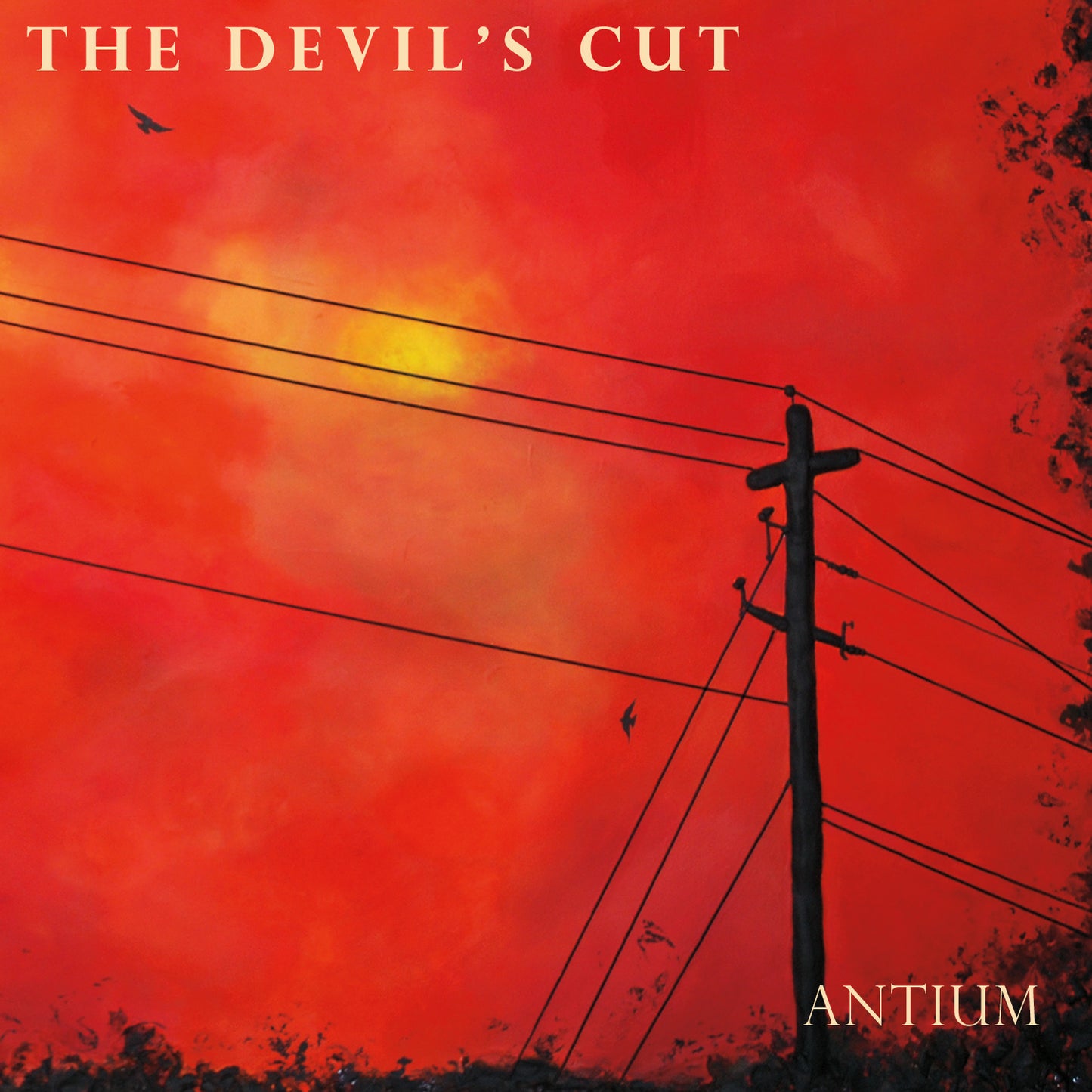 DEVIL'S CUT  - ANTIUM