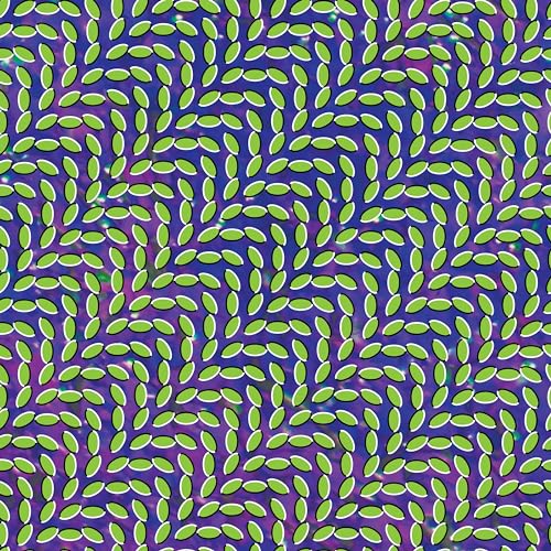 ANIMAL COLLECTIVE - MERRIWEATHER POST PAVILION (VINYL)
