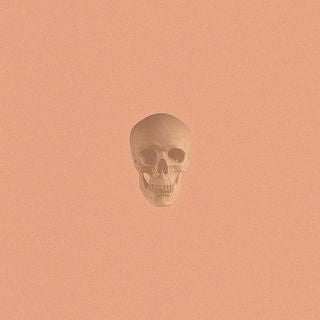 POMEGRANATES  - ONE OF US