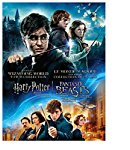 WIZARDING WORLD 9-FILM COLLECTION (BILINGUAL)