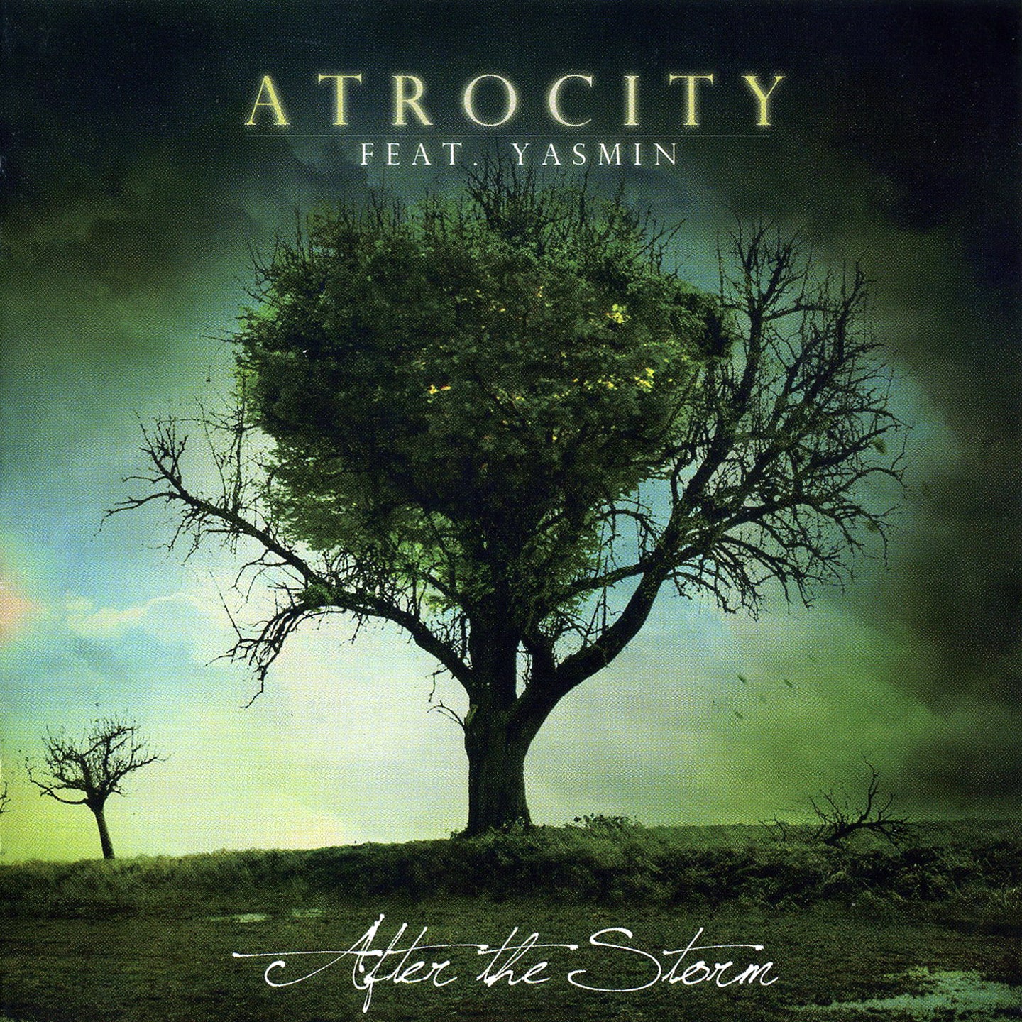 ATROCITY  - AFTER THE STORM