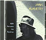 JAMES MCMURTRY - WALK BETWEEN THE RAINDROPS