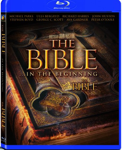 BIBLE...IN THE BEGINNING - BLU