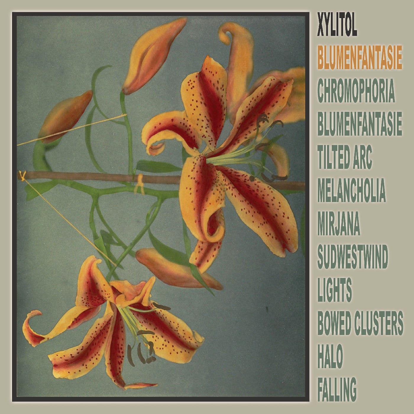 XYLITOL - BLUMENFANTASIE