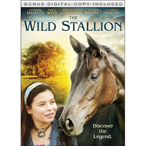 WILD STALLION