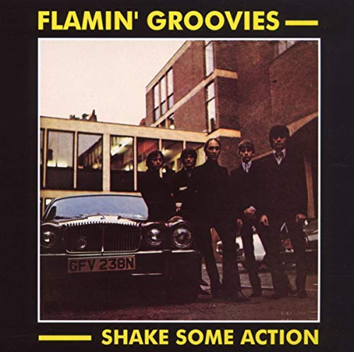 FLAMIN GROOVIES - SHAKE SOME ACTION