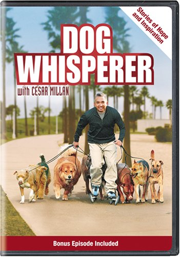 DOG WHISPERER WITH CESAR MILLAN: STORIES OF HOPE & INSPIRATION [IMPORT]