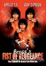 BRUCE'S FIST OF VENGEANCE [IMPORT]