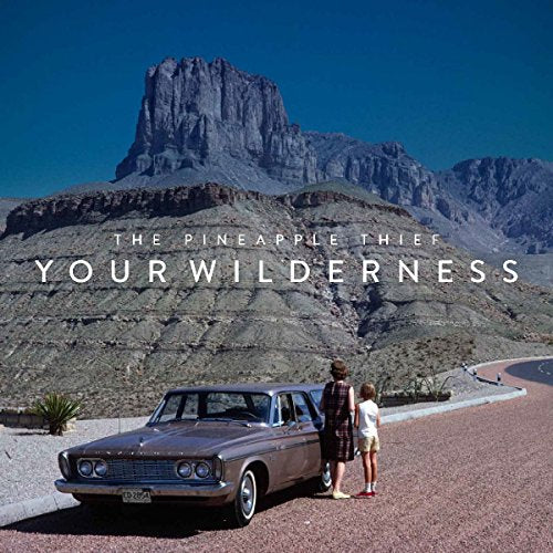 PINEAPPLE THIEF - YOUR WILDERNESS