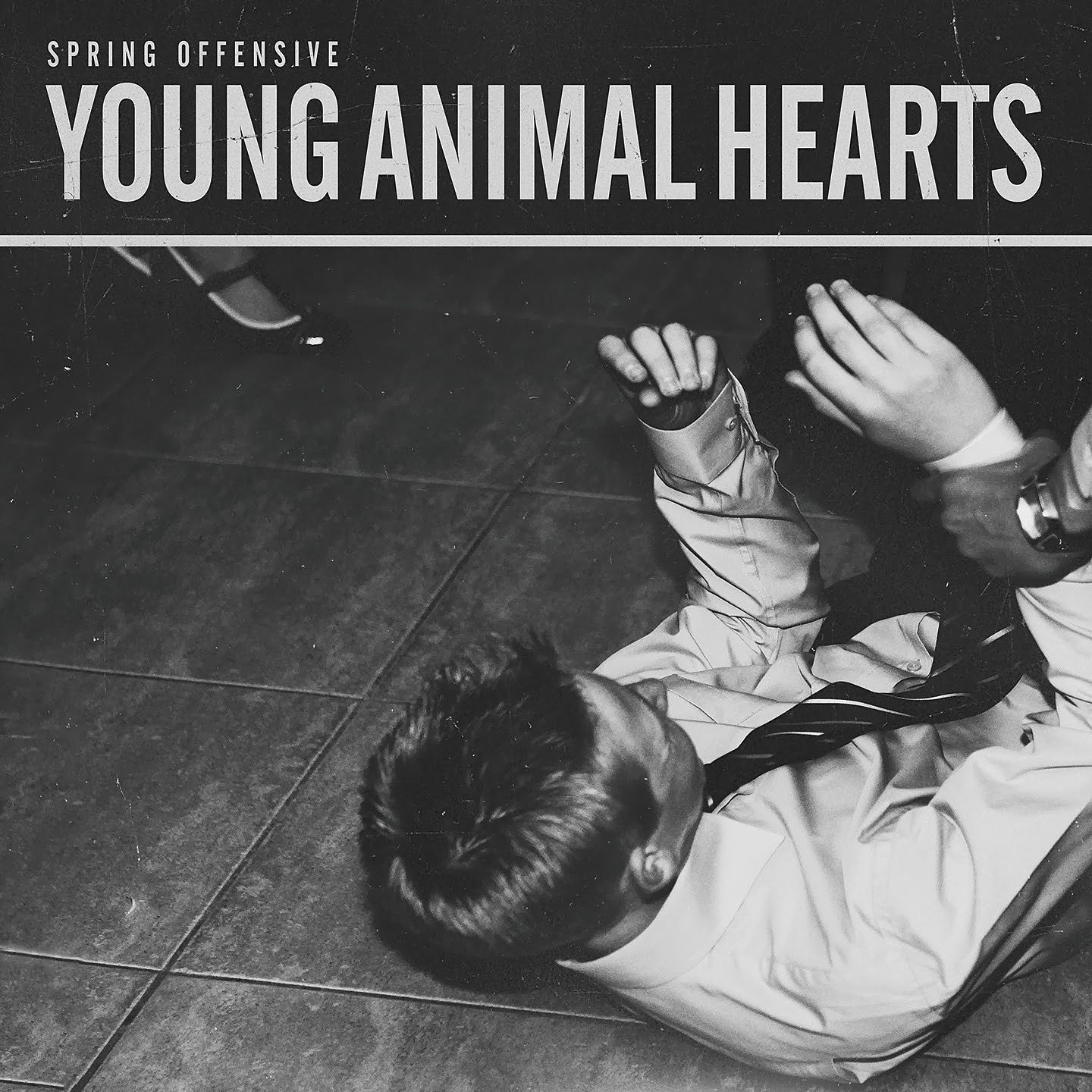 SPRING OFFENSIVE  - YOUNG ANIMAL HEARTS