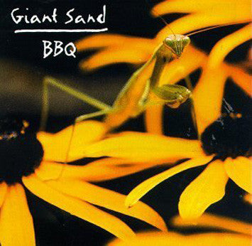 GIANT SAND  - BACKYARD BARBECUE BROADCAST