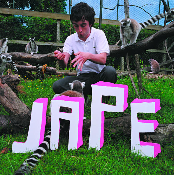 JAPE  - MONKEYS IN THE ZOO HAVE MORE...