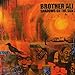 BROTHER ALI - SHADOWS ON THE SUN