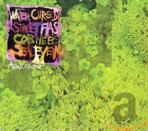 ANIMAL COLLECTIVE - WATER CURSES