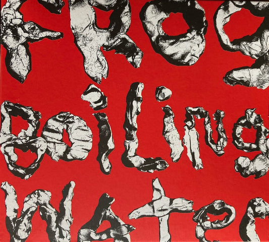 DIIV  - FROG IN BOILING WATER