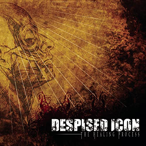 DESPISED ICON - THE HEALING PROCESS (ALTERNATE MIX - RE-ISSUE + BONUS 2022) (CD)