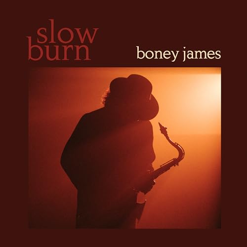 BONEY JAMES - SLOW BURN (VINYL)