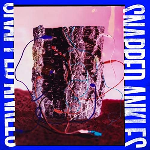 SNAPPED ANKLES - FOREST OF YOUR PROBLEMS (THE PROTESTER EDITION) (VINYL)