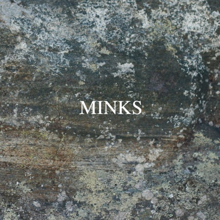 MINKS  - BY THE HEDGE