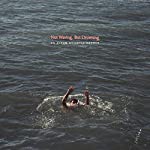 CARNER, LOYLE - NOT WAVING BUT DROWNING (CD)