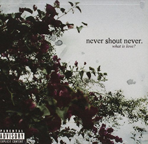 NEVER SHOUT NEVER - WHAT IS LOVE