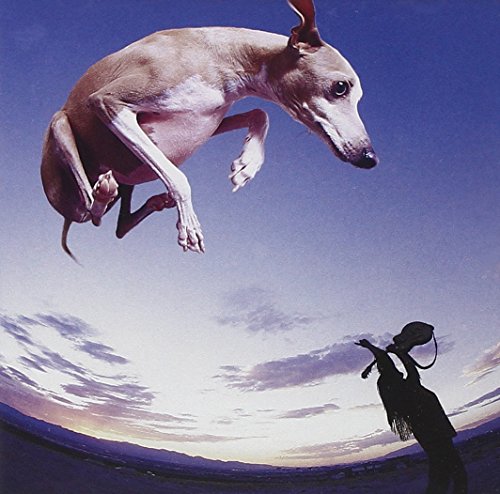 PAUL GILBERT - FLYING DOG