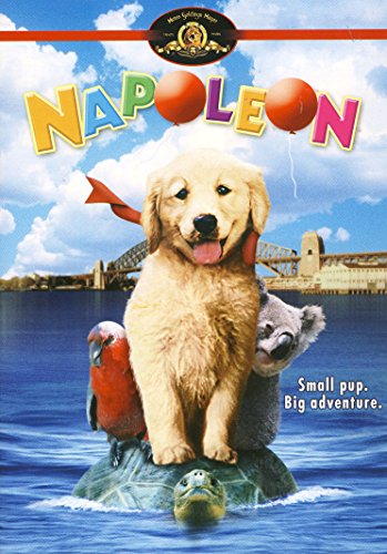 NAPOLEON (FULL SCREEN) [IMPORT]