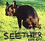 SEETHER - SEETHER: 2002-2013