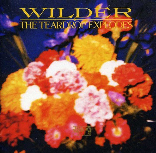 TEARDROP EXPLODES - WILDER