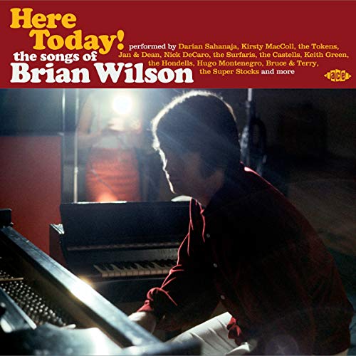 VARIOUS ARTISTS - HERE TODAY: THE SONG OF BRIAN WILSON / VARIOUS