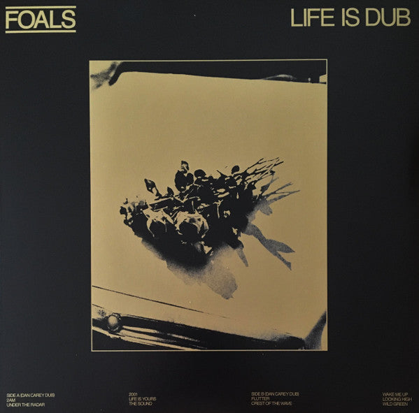 FOALS - LIFE IS DUB