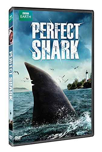 PERFECT SHARK