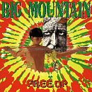 BIG MOUNTAIN - FREE UP