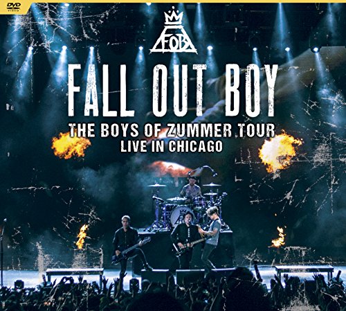 THE BOYS OF ZUMMER TOUR: LIVE IN CHICAGO (DVD)