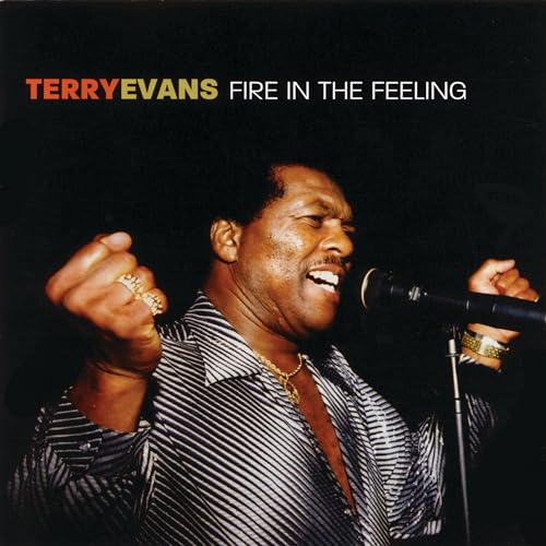 EVANS, TERRY - FIRE IN THE FEELING