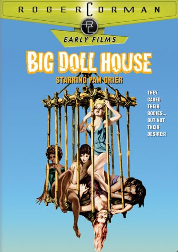 BIG DOLL HOUSE