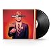 MINISTRY - FILTH PIG DOPPIO VINILE [VINYL]