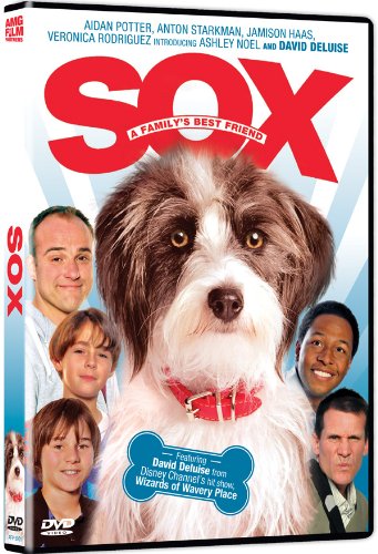 SOX: A FAMILY'S BEST FRIEND