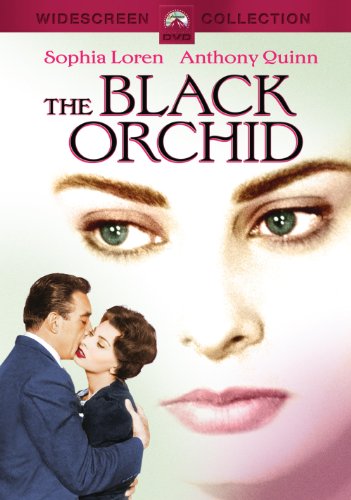 BLACK ORCHID