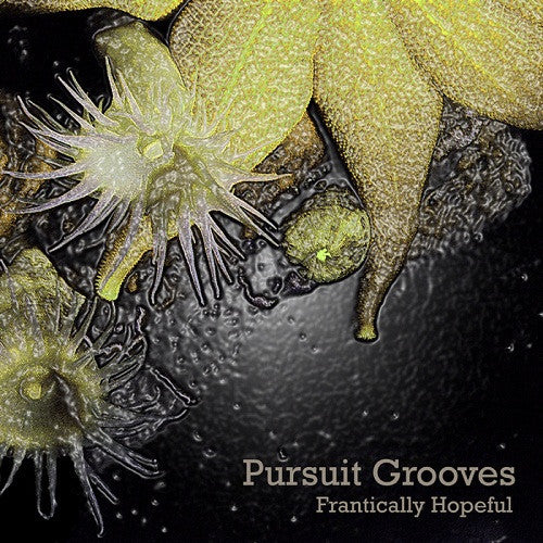 PURSUIT GROOVES  - FRANTICALLY HOPEFUL