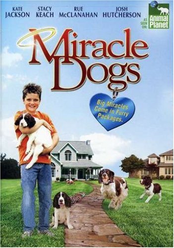 MIRACLE DOGS - DVD